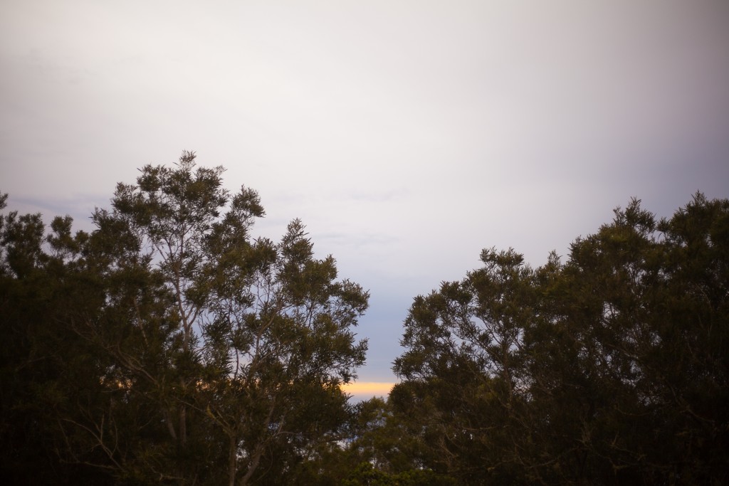_mg_7079